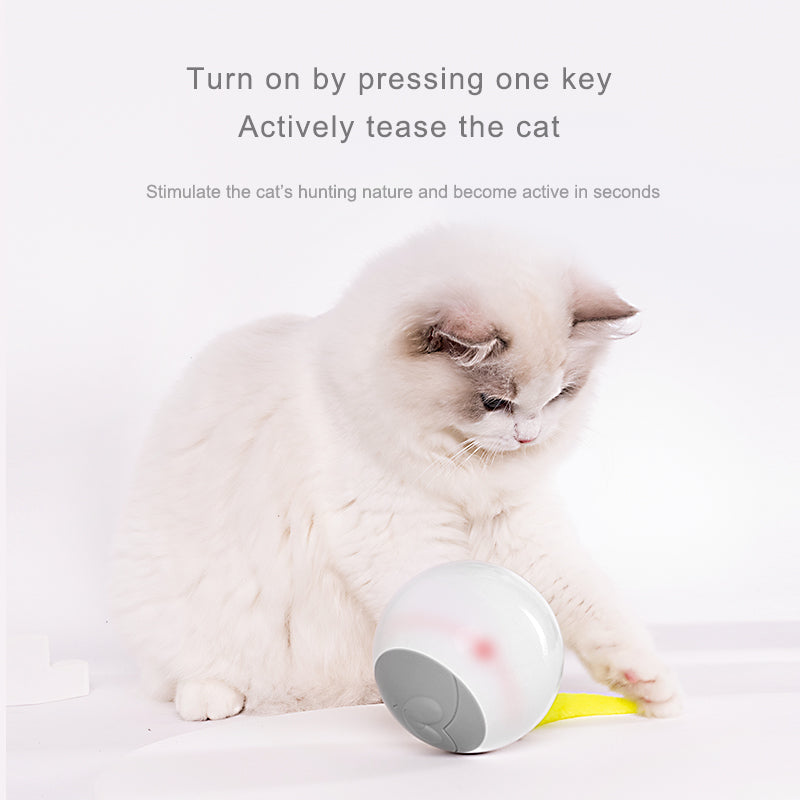 Shield Pet Care Essential