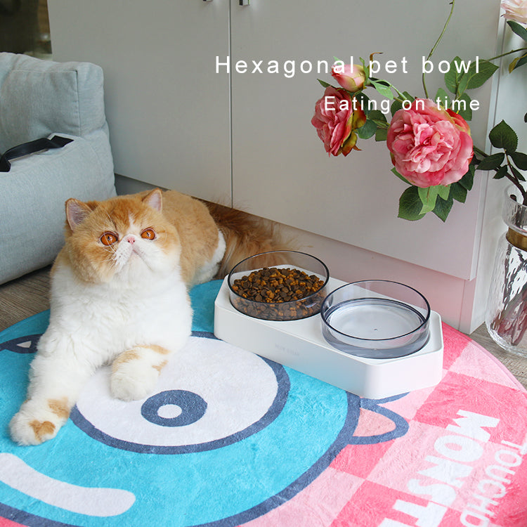 Raised Pet Feeding Bowl