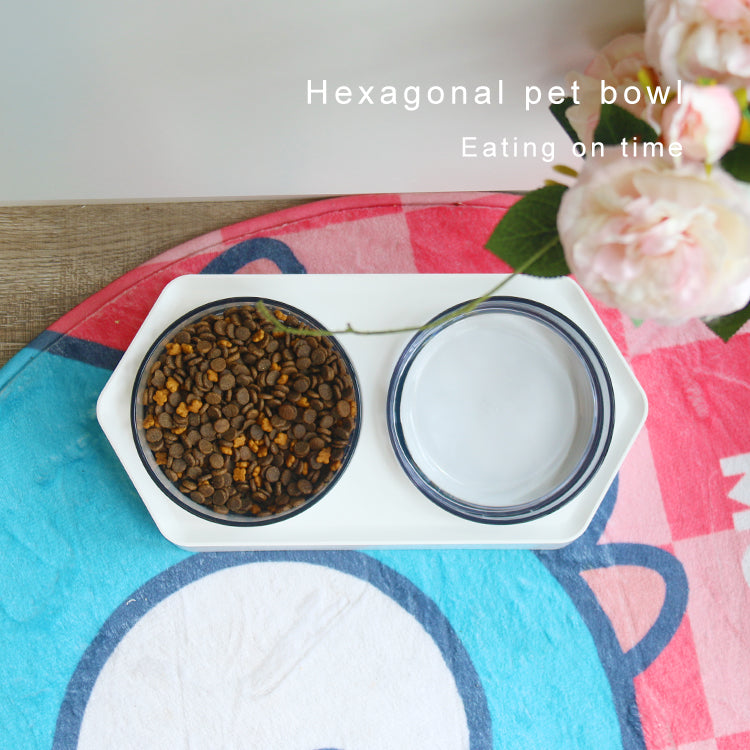 Raised Pet Feeding Bowl