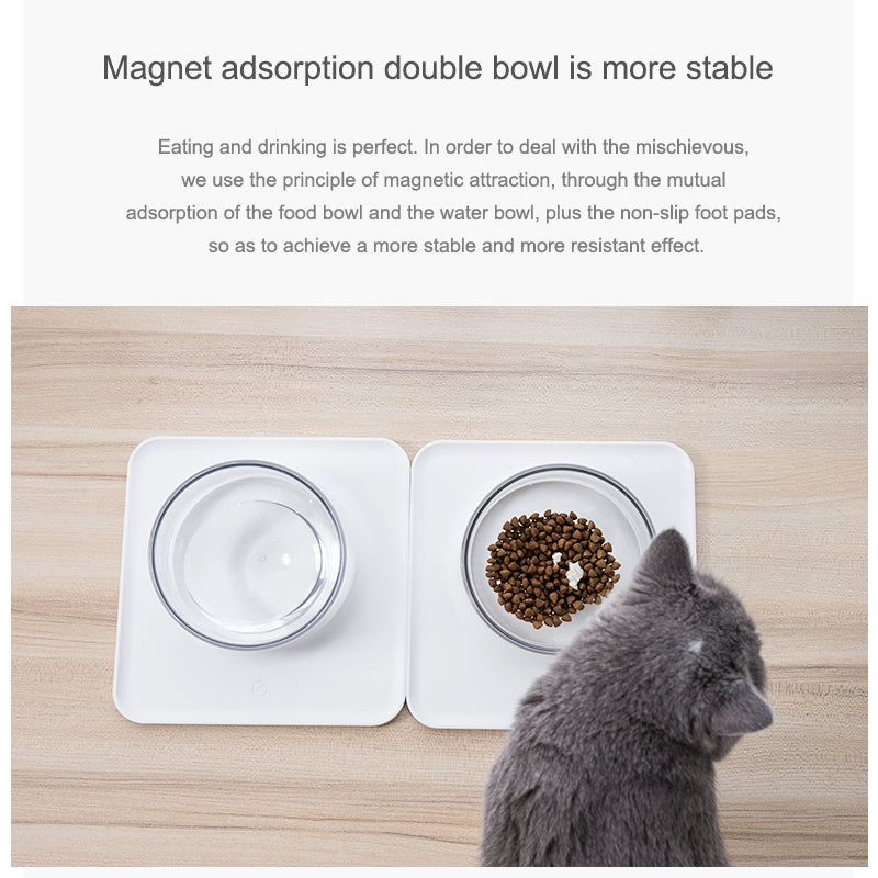 Classic Pet Feeding Bowl