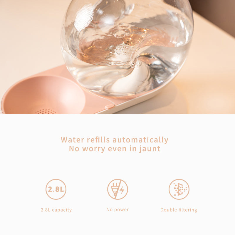 Snail Pet Water Fountain