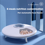 Waistline Automatic Pet Feeder