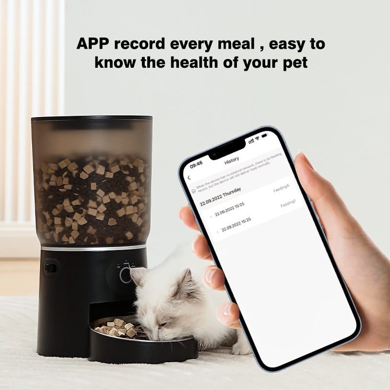 Hourglass Touch Automatic Pet Feeder