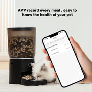 Hourglass Touch Automatic Pet Feeder