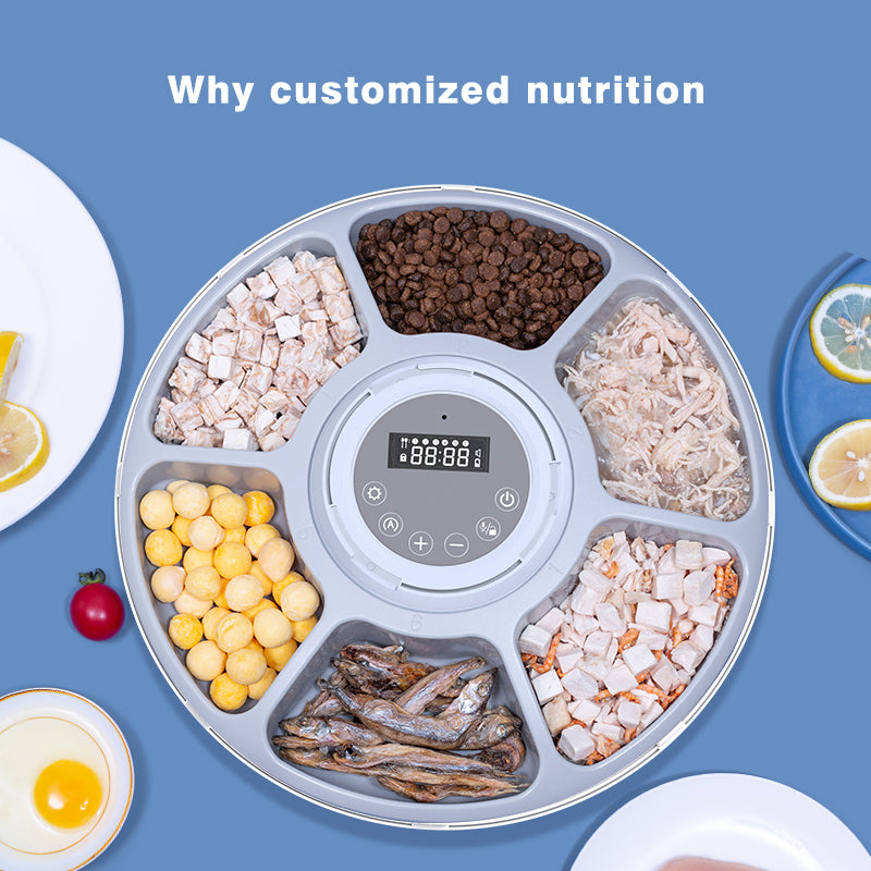 Waistline Automatic Pet Feeder