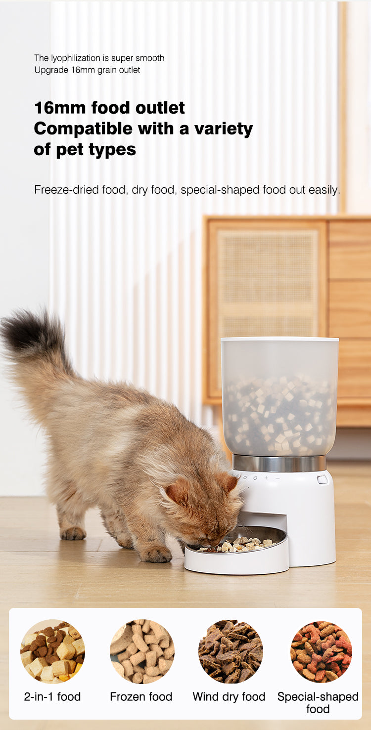 Compact Automatic Pet Feeder