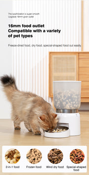 Compact Automatic Pet Feeder