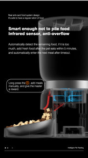 Compact Automatic Pet Feeder