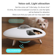 Waistline Automatic Pet Feeder