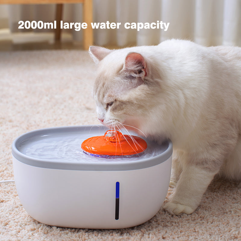 Avocado Pet Care Essential
