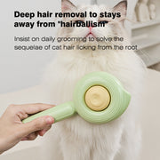 Conch Pet Slicker Brush