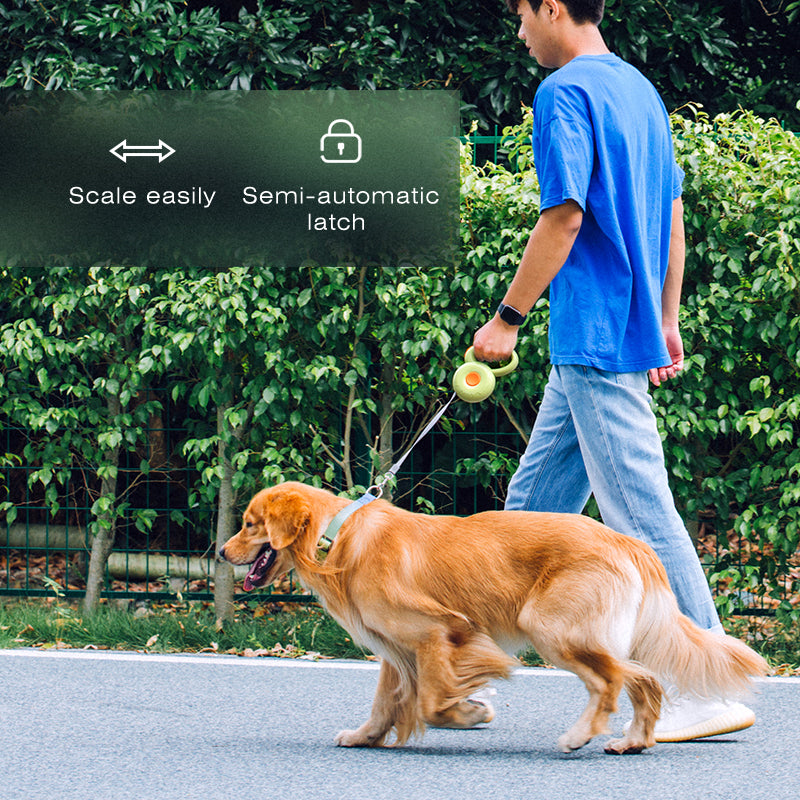 Donut Retractable Pet Leash
