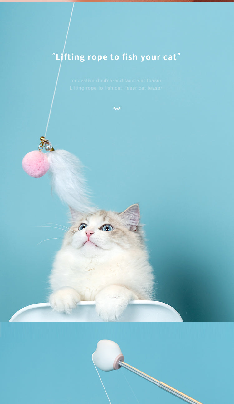 Rolling Ball Interactive Cat Toy