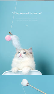 Rolling Ball Interactive Cat Toy