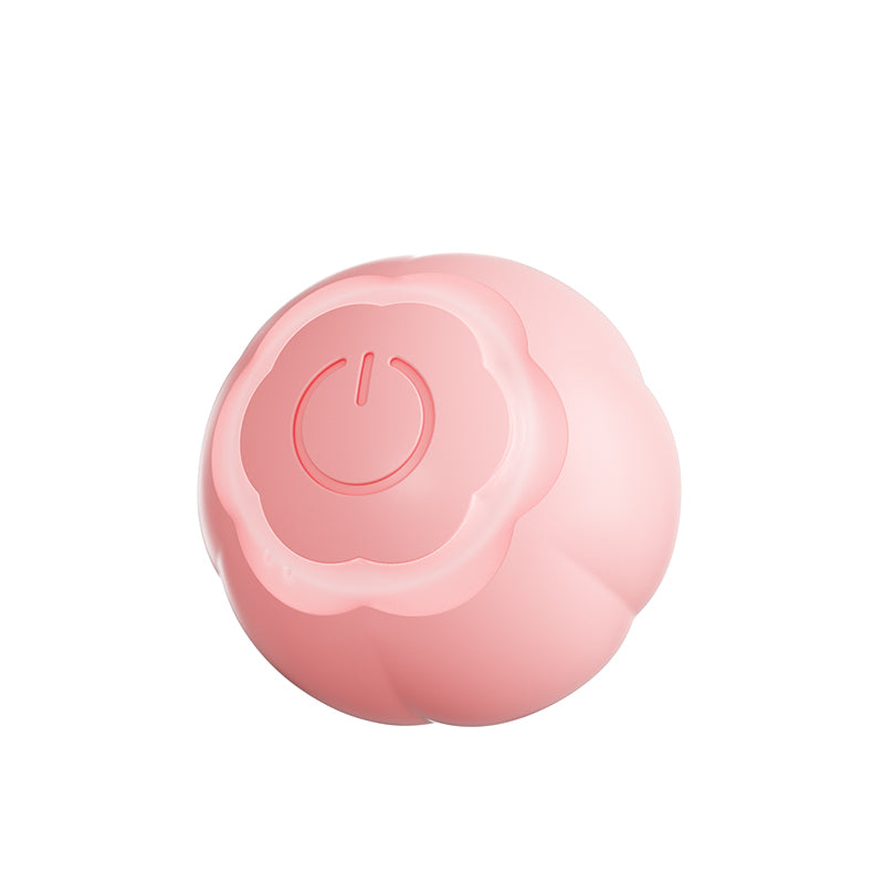 Laser Interactive Cat Toy