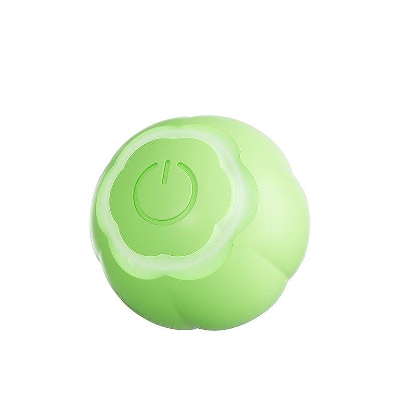 Laser Interactive Cat Toy