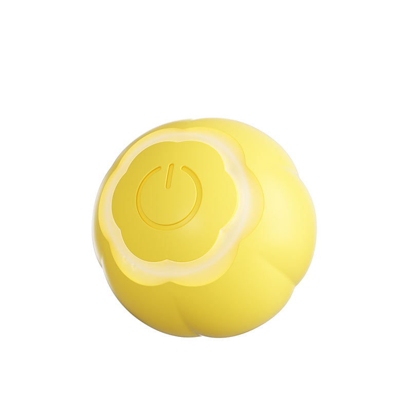 Laser Interactive Cat Toy