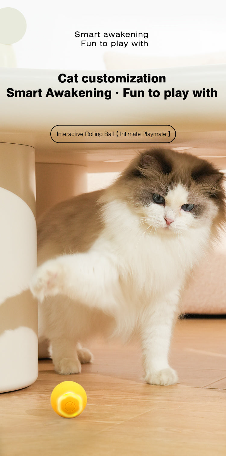 Laser Interactive Cat Toy