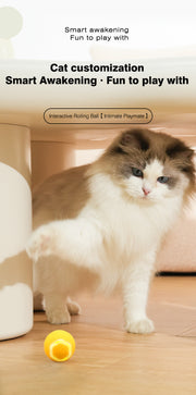 Laser Interactive Cat Toy