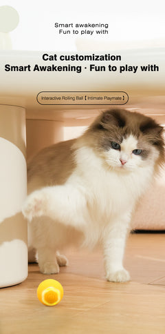 Laser Interactive Cat Toy photo 4