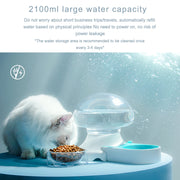 Jellyfish Pet Care Essential