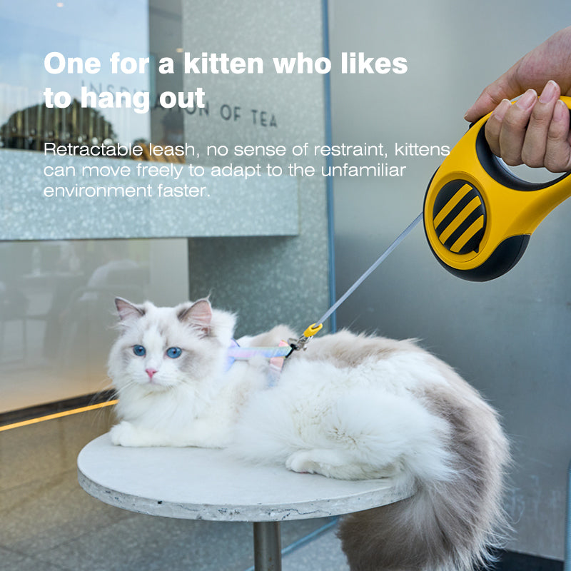 Little Bee Retractable Pet Leash