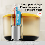 Little Bee Wireless Pet Water Fountain