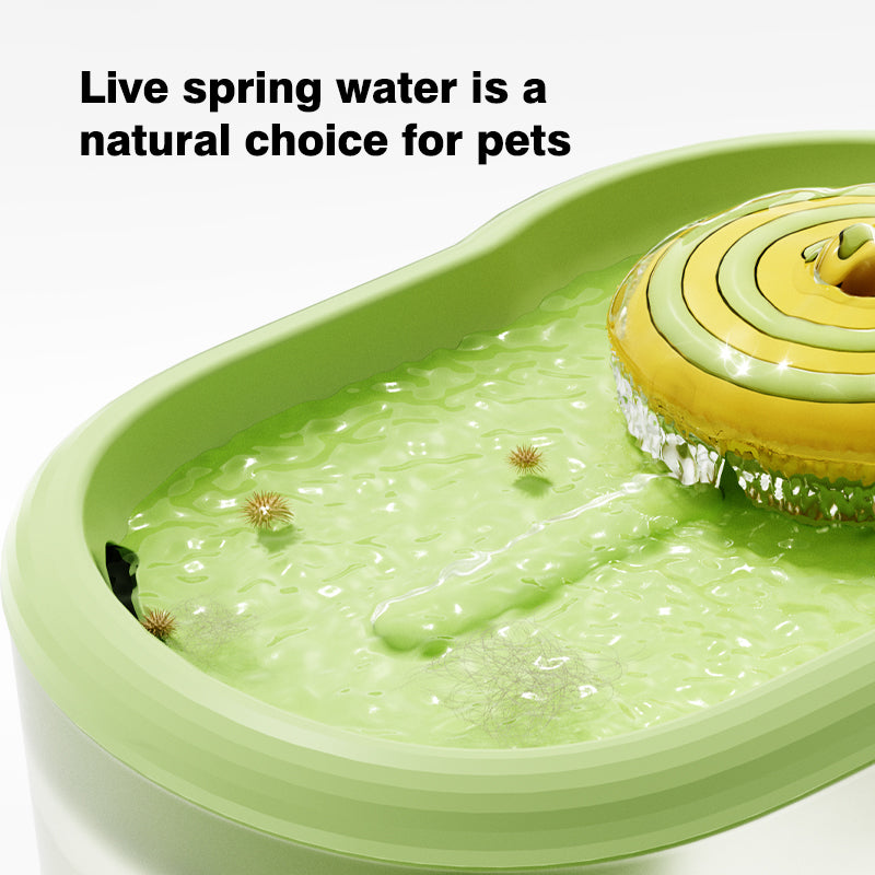 Lollipop Pet Water Fountain