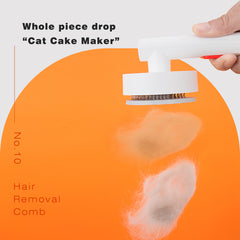 Number 10 Pet Grooming Brush photo 4