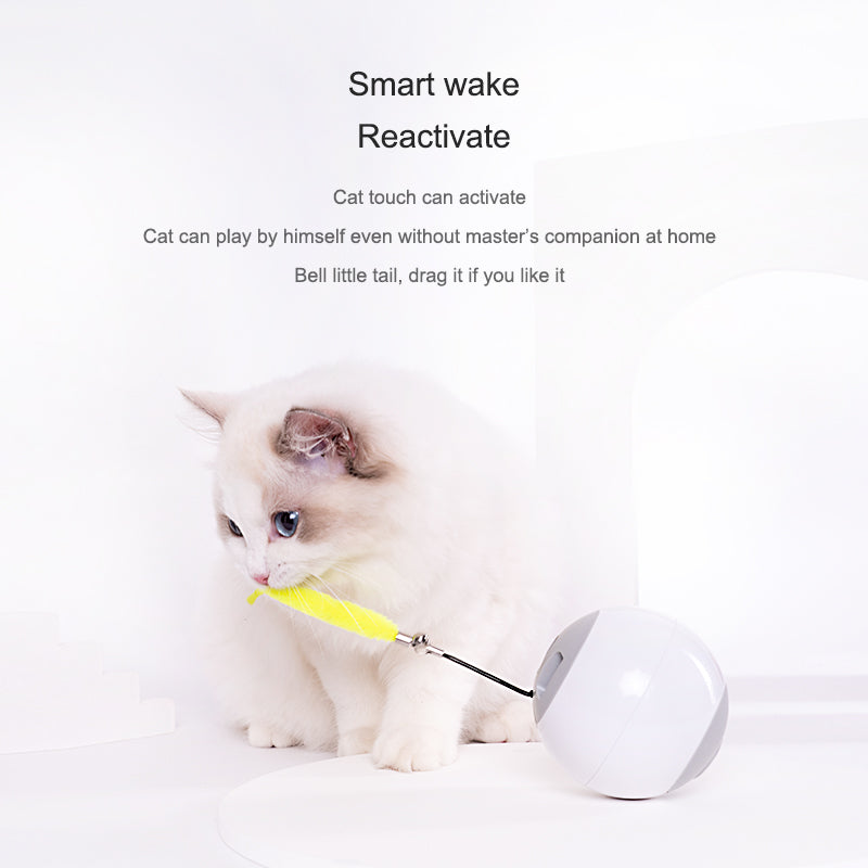 Shield Pet Care Essential