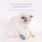 Shield Pet Care Essential