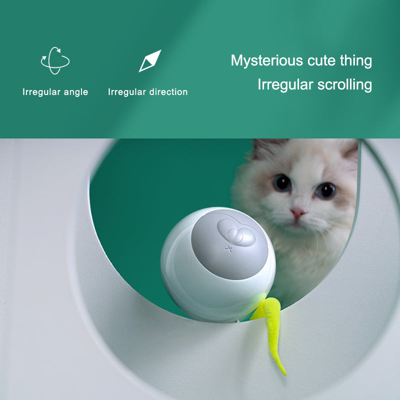 Shield Pet Care Essential