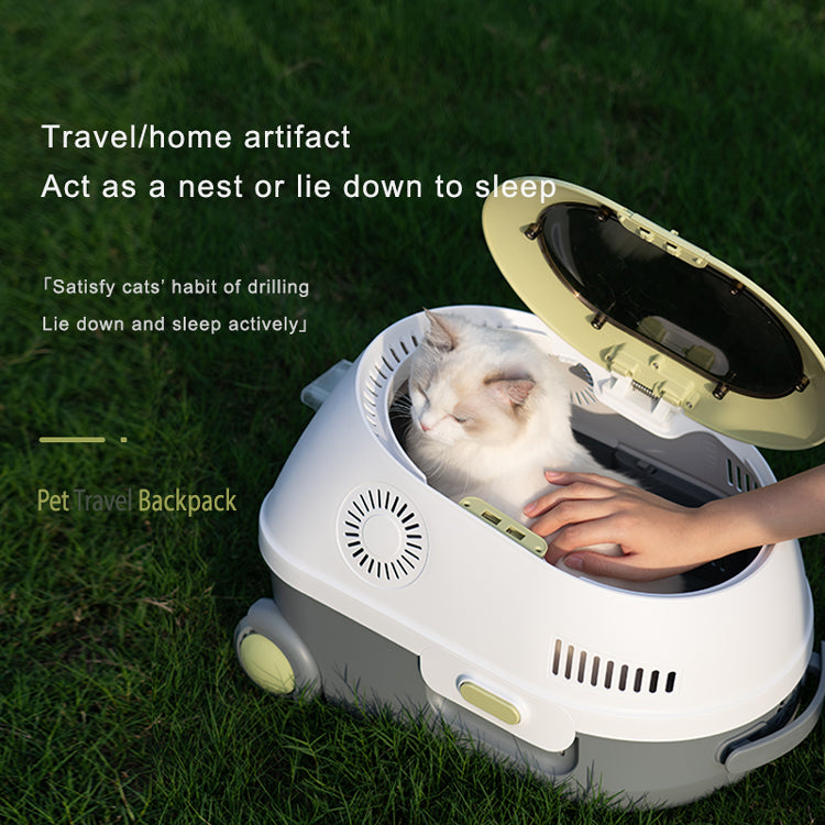Pet Carrier Bag
