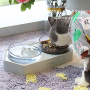 Raised Pet Feeding Bowl