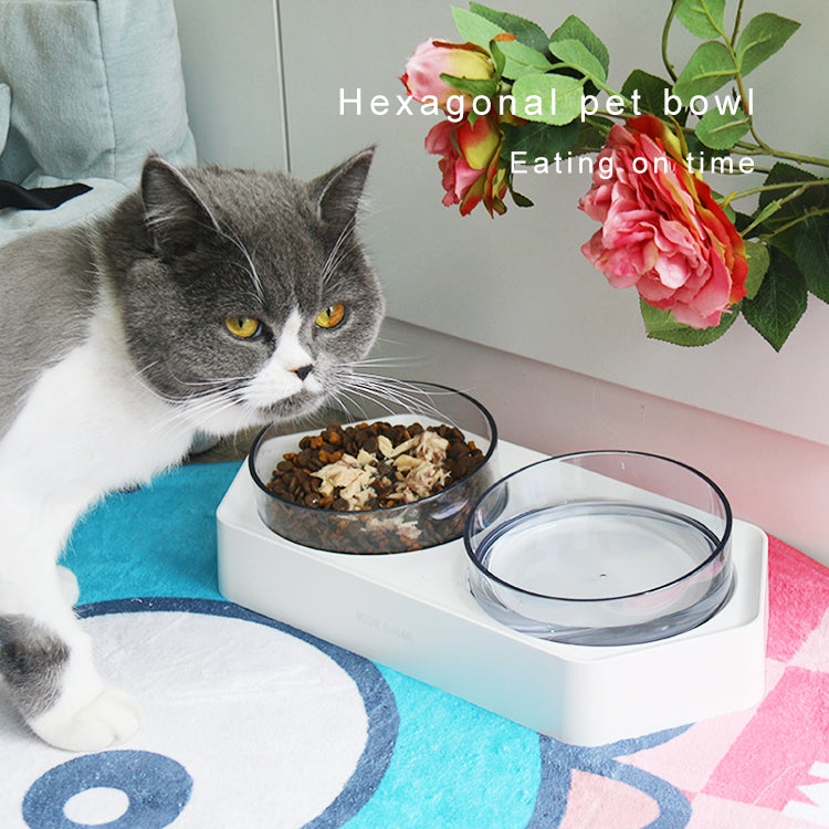Raised Pet Feeding Bowl