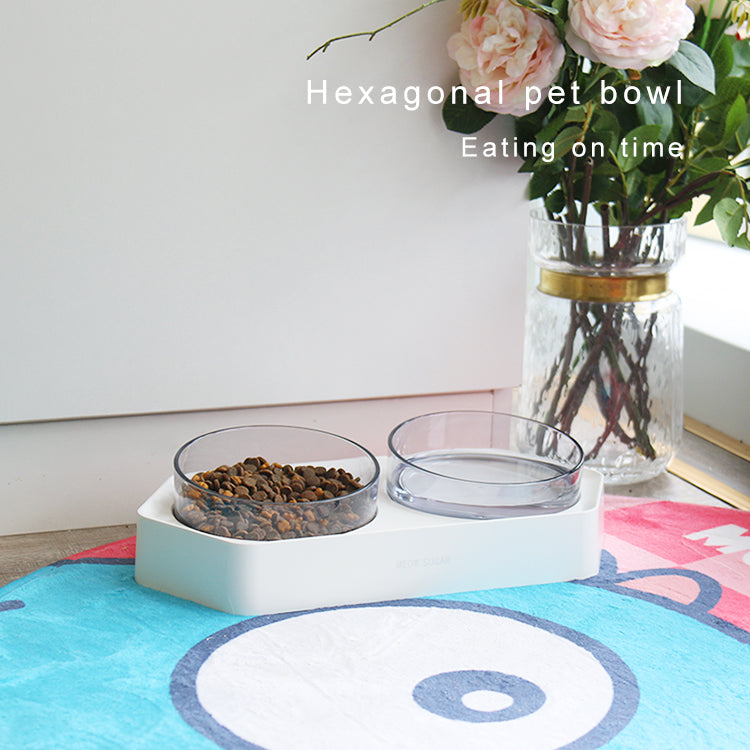Raised Pet Feeding Bowl