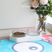 Raised Pet Feeding Bowl