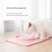 Classic Pet Feeding Bowl