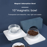 Classic Pet Feeding Bowl