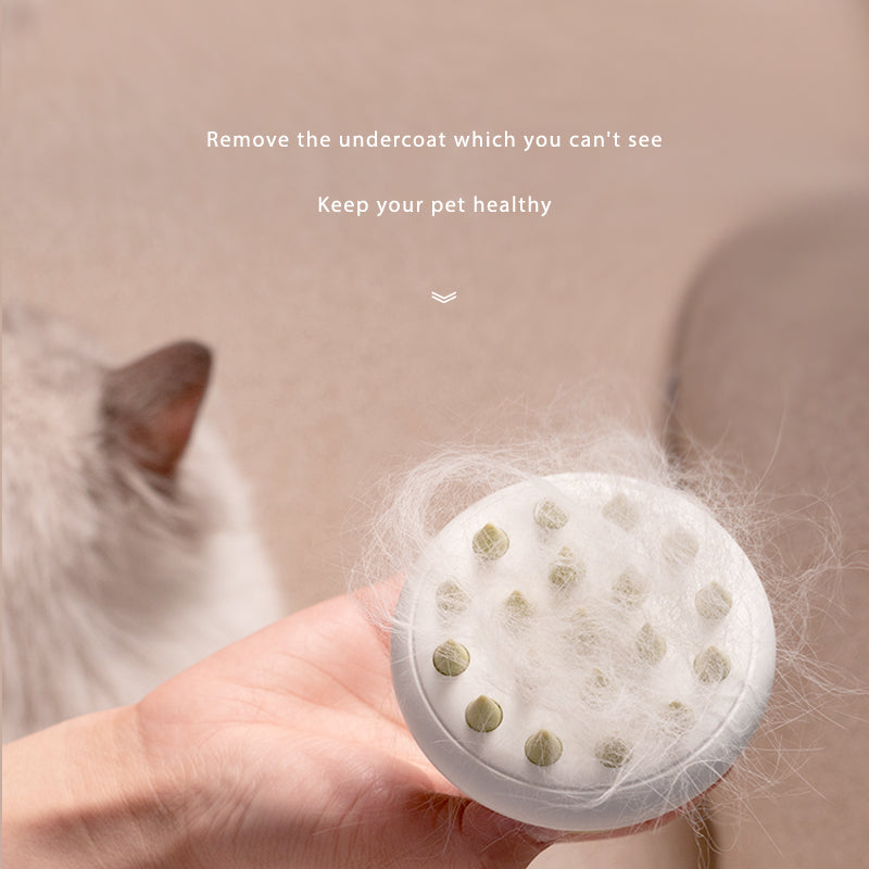 Hollow Pet Grooming Comb