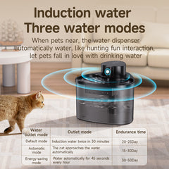 Pet Water Fountain photo 3