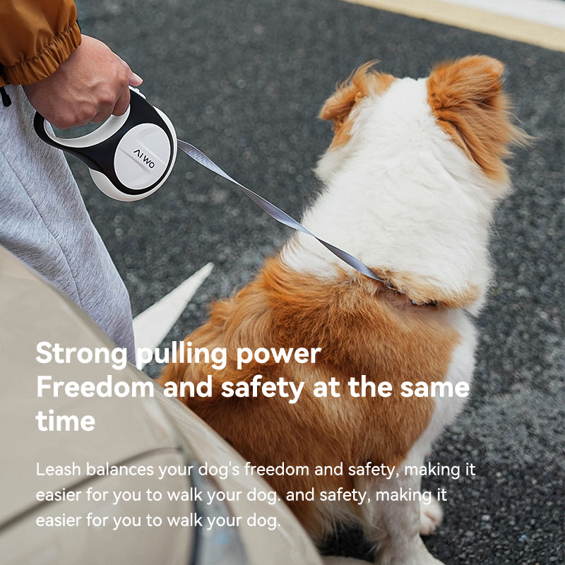 Cyclone Retractable Pet Leash
