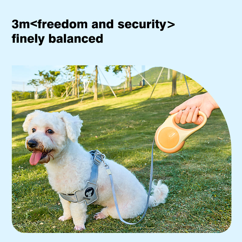 Shell Retractable Pet Leash