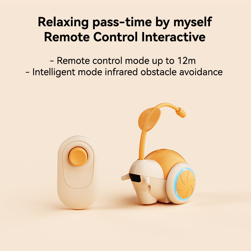 Snail Interactive Cat Toy