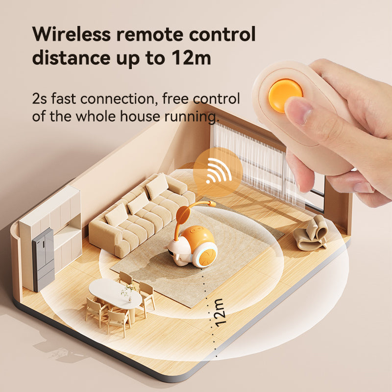 Snail Interactive Cat Toy