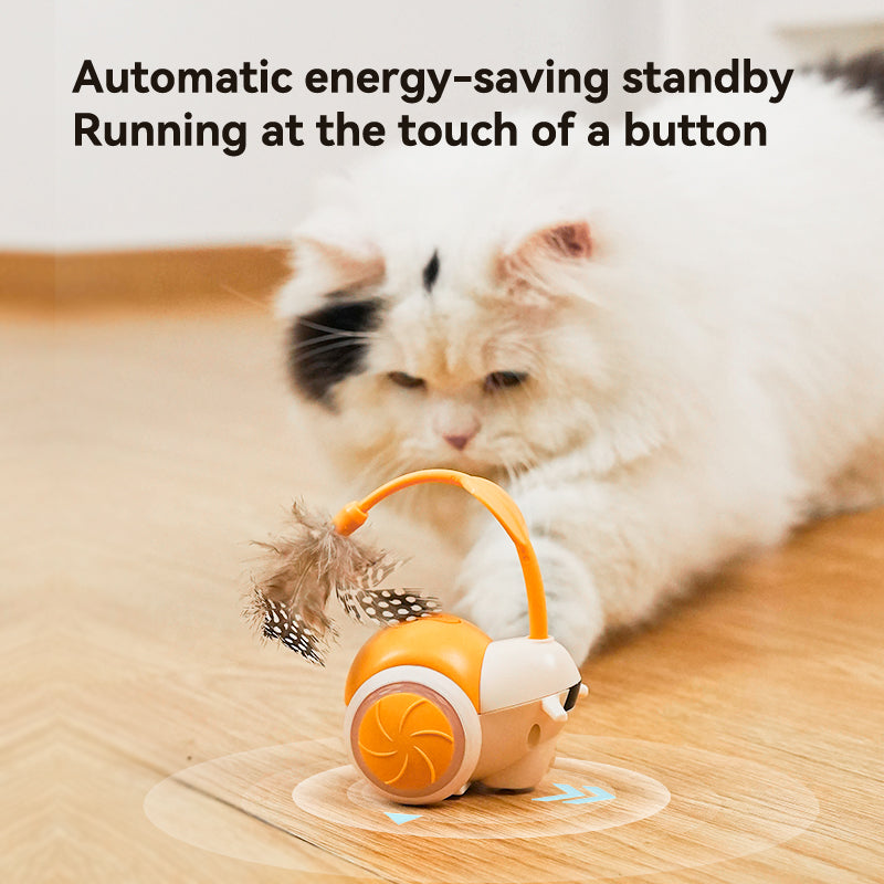 Snail Interactive Cat Toy