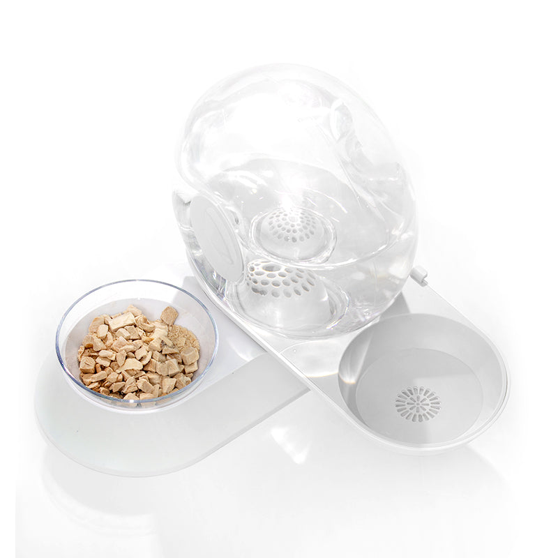 Snail Pet Water Fountain and Feeder