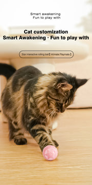 Star Pet Care Essential