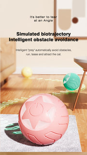 Star Pet Care Essential