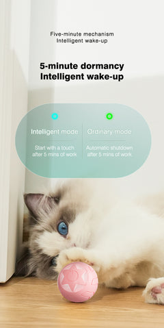 Motion-Activated Cat Toy Ball photo 4